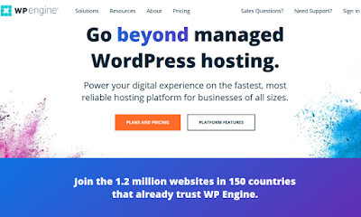 The Best for Managed WordPress Hosting