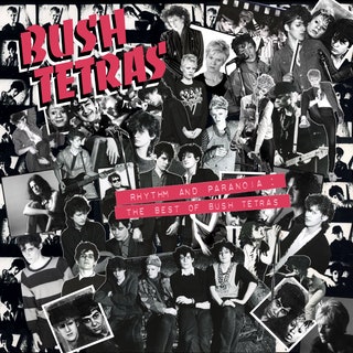 The Bush Tetras - Rhythm and Paranoia: The Best of Bush Tetras Music Album Reviews