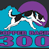 2022 Copper Basin 300 Race Preview