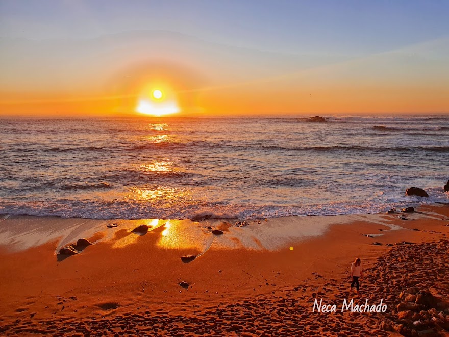 FOTOS DA NECA MACHADO/ EUROPA