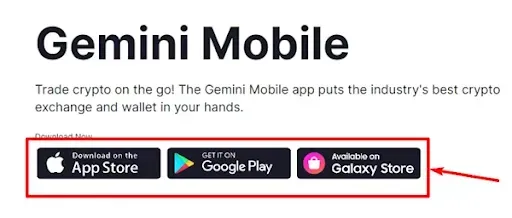 Пункт Gemini Mobile