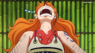 ワンピースアニメ 1008話 ワノ国編 | ONE PIECE