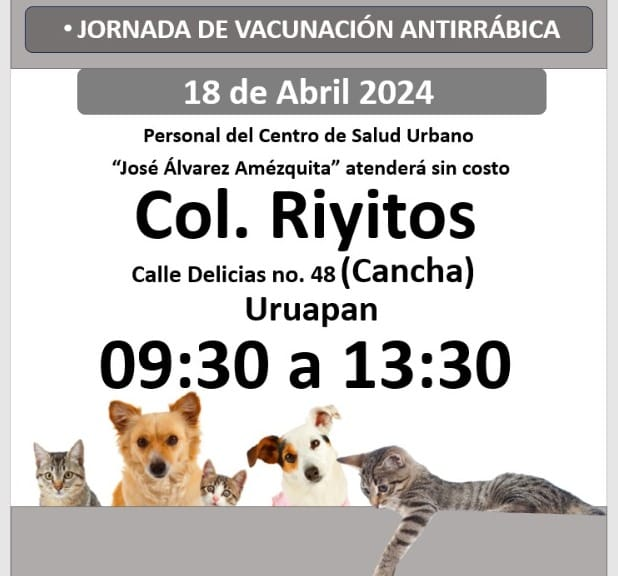 Más de 31 mil perros y gatos domésticos, en Uruapan necesitan ser vacunados contra la rabia. 