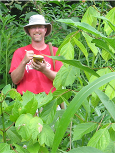 Dr. Robert Cook of The Ohio State University taking notes in a field of tall vegetation. Image courtesy of The Ohio State University.