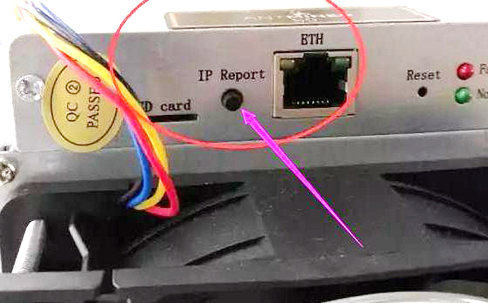 IP Report button