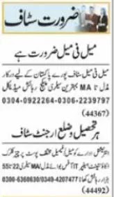 Pakistan Organization Company Job