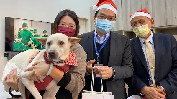 傳騏動物醫院推廣微創無痛醫療 周年慶辦義診做公益