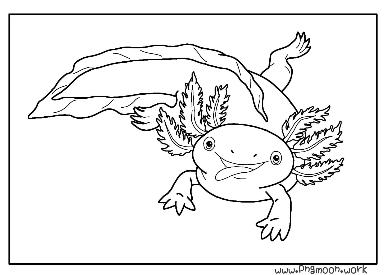 Axolotl Coloring Page  Cartoon Axolotl  Pngmoon   Pngmoon  PNG ...