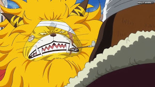 ワンピースアニメ ゾウ編 767話 ネコマムシ | ONE PIECE Episode 767