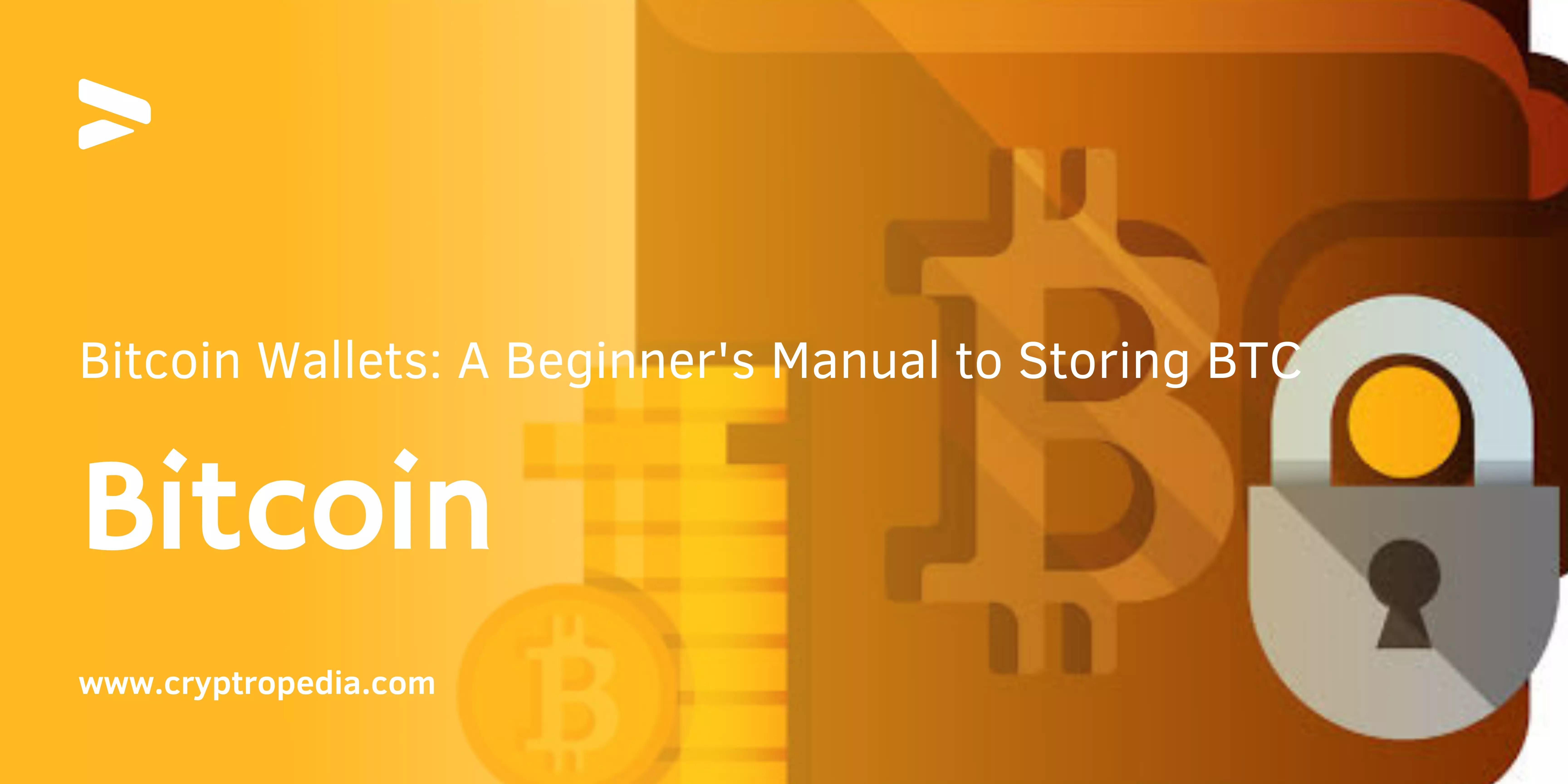 Bitcoin Wallets: A Beginner's Manual to Storing BTC
