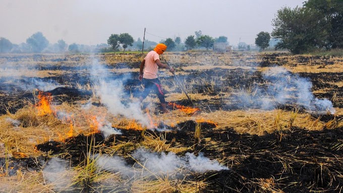 पर्यावरण बचाने की पहल: पंजाब में पराली से बनेगा उद्योगों का ईंधन, मिलेगी 5 करोड़ तक की सब्सिडी