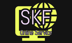 SKF Service 7