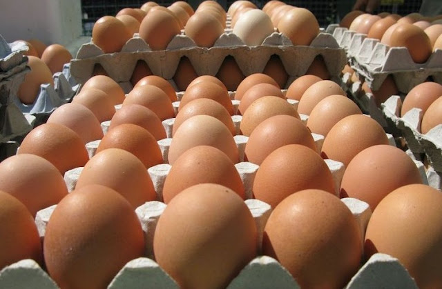 5 Cara Menawarkan Dagangan Telur Agar Cepat Laku dengan Harga Tinggi