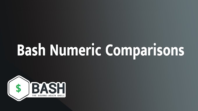  Bash Numeric Comparisons