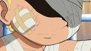 ワンピースアニメ ドレスローザ編 737話 サボ 過去 幼少期 革命軍 SABO | ONE PIECE Episode 737