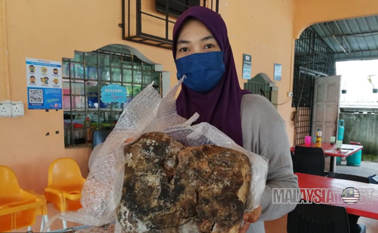 'Jika betul itu muntah paus dengan berat 5 kilogram, ia dianggarkan bernilai RM500K' - Prof UMT