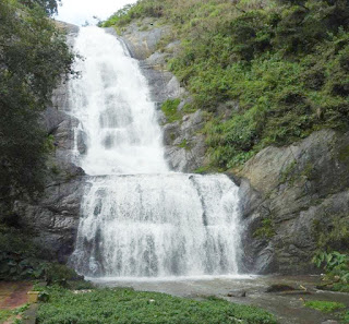 Bear shola falls