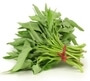 Vegetables Names: सब्जियों के नाम इंग्लिश-हिंदी में | All Vegetables Name In English-Hindi, Water spinach, कलमी शाक