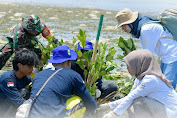 Jaga Ekosistem Laut, Bank NTB Syariah Tanam 10 Ribu Bibit Mangrove di Kawasan Gili Lampu