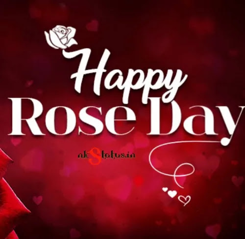 Happy Rose Day Quotes 2023, 7th February