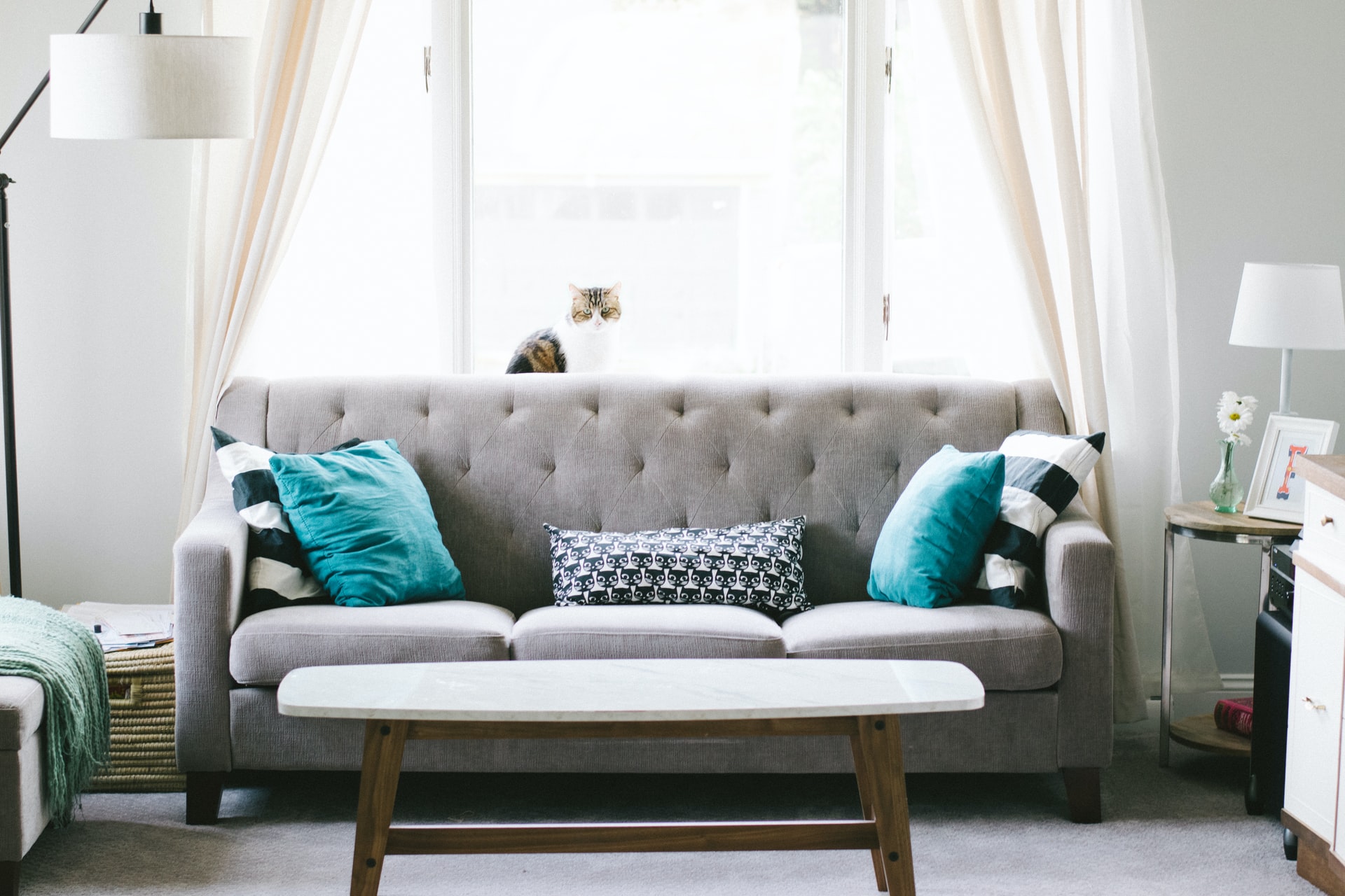 a stylish couch in a modern living room