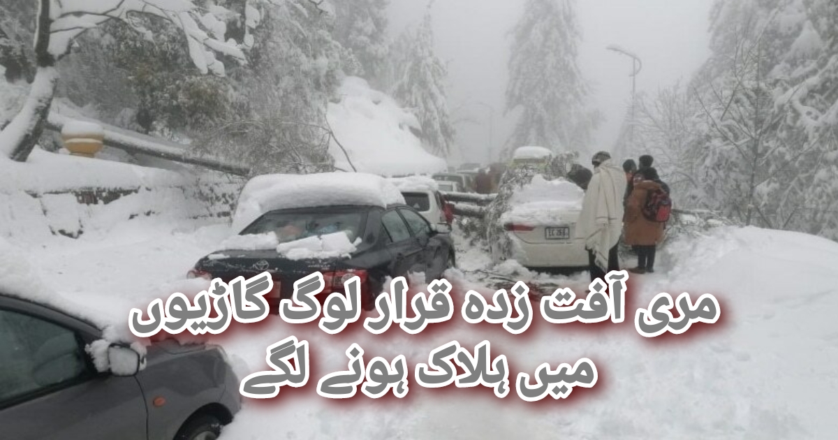 Murree Declared disaster