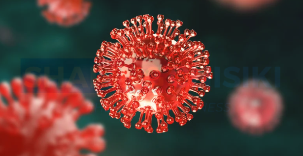 Exploring the 4 Stages of HIV: Symptoms, Treatment, and More