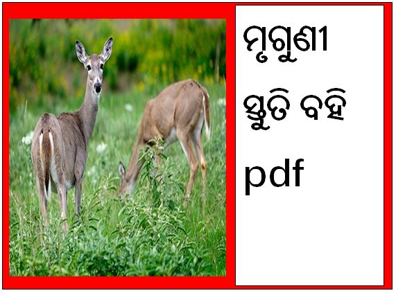 Mruguni Stuti Odia, Mrugunu stuti odia book pdf download, mruguni stuti pdf download, mruguni stuti in odia pdf download. mruguni stuti odia pdf, mruguni stuti book pdf download.