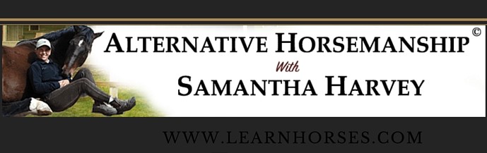 Alternative Horsemanship with Samantha Harvey the Remote Horse Coach Articles and Advice Blog
