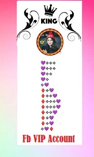 Stylish Facebook Profiles Bio