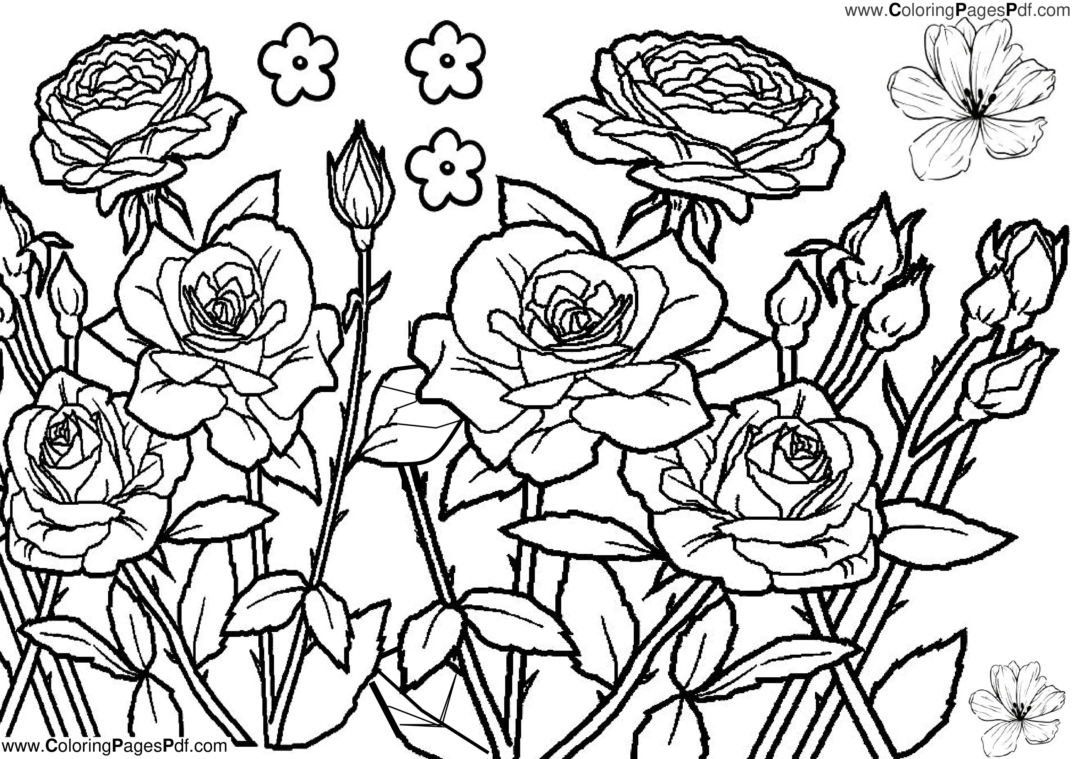 Best flower coloring pages