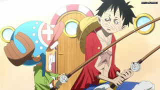 ワンピースアニメ WCI編 783話 ルフィ チョッパー かわいい Luffy Chopper | ONE PIECE Episode 783