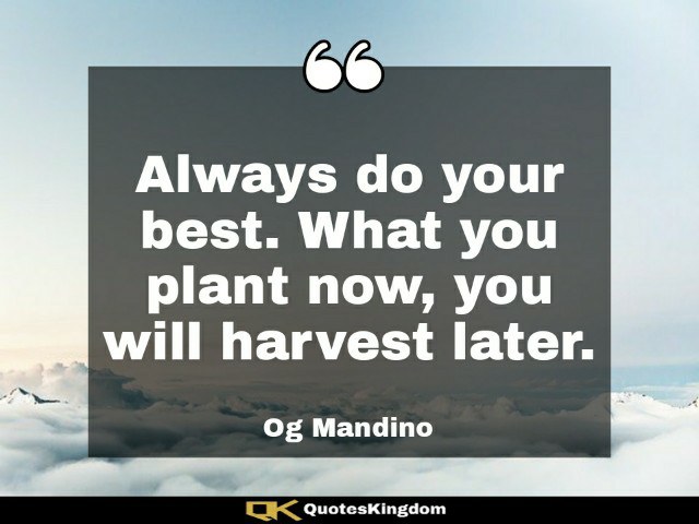 Encouraging quote of the day. Always do your best. What you plant now, you ...