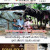 വർഷങ്ങളുടെ കാത്തിരിപ്പ് അവസാനിച്ചു... പാണത്തൂർ മൈലാട്ടിലെ ചാന്ദിനിക്കും,  യശോദയ്ക്കും റേഷൻ കാർഡ് ലഭിച്ചു ഇനി വീടെന്ന സ്വപ്നം ബാക്കി 