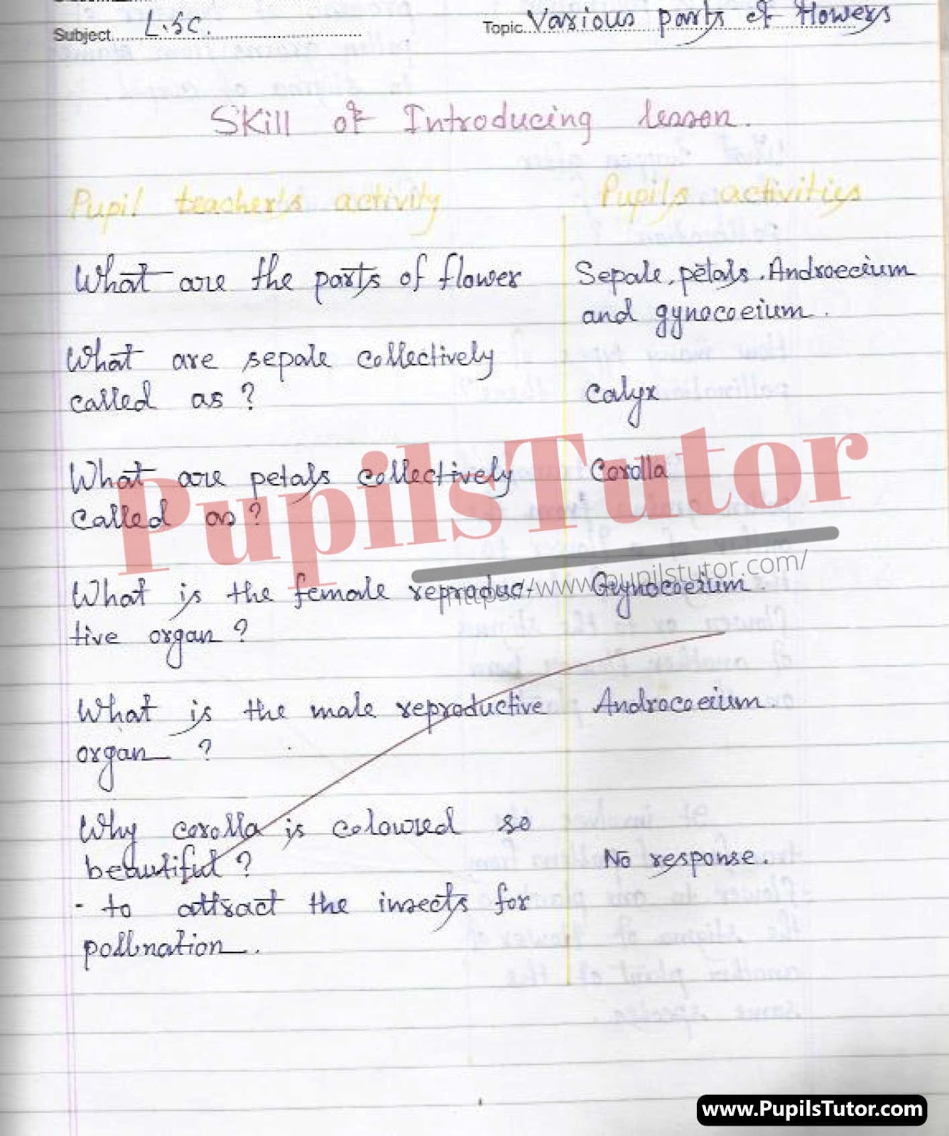 Microteaching Skill Of Introduction Biological Science Lesson Plan For Class 7 To 12 On Parts Of A Flower – (Page And Image Number 1) – Pupils Tutor