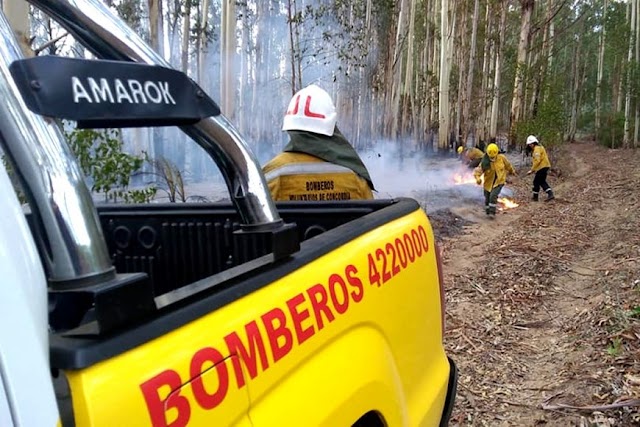 VERGÜENZA: Al no tener respuestas del Estado los bomberos de Concordia hacen ventas de pollos