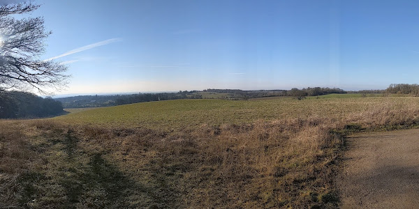 View of rolling farmland looking towards Wimpole Hall