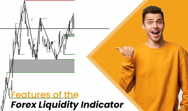 Features of the Forex Liquidity Indicator