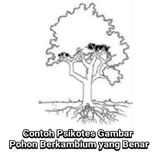 Contoh Psikotes Gambar Pohon Berkambium yang Benar