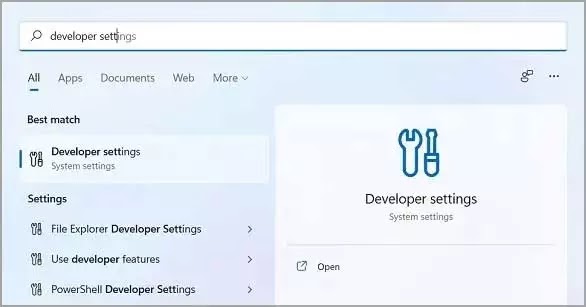 19-Google-Play-Windows11-Developer-Settings