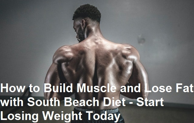 How to Build Muscle and Lose Fat with South Beach Diet - Start Losing Weight Today