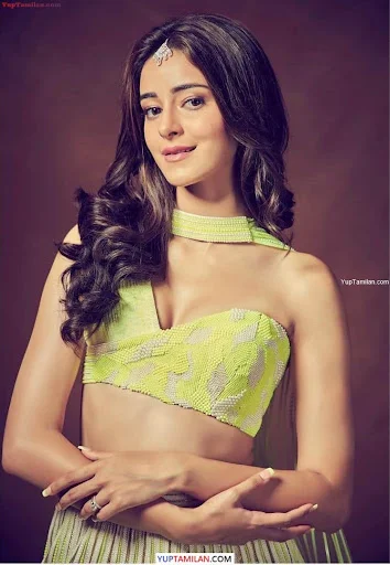 Ananya Pandey Sexy Bikini Images