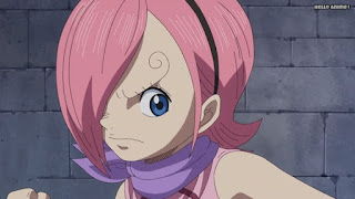 ワンピースアニメ WCI編 804話 ジェルマ66 レイジュ 幼少期 Vinsmoke Reiju | ONE PIECE Episode 804