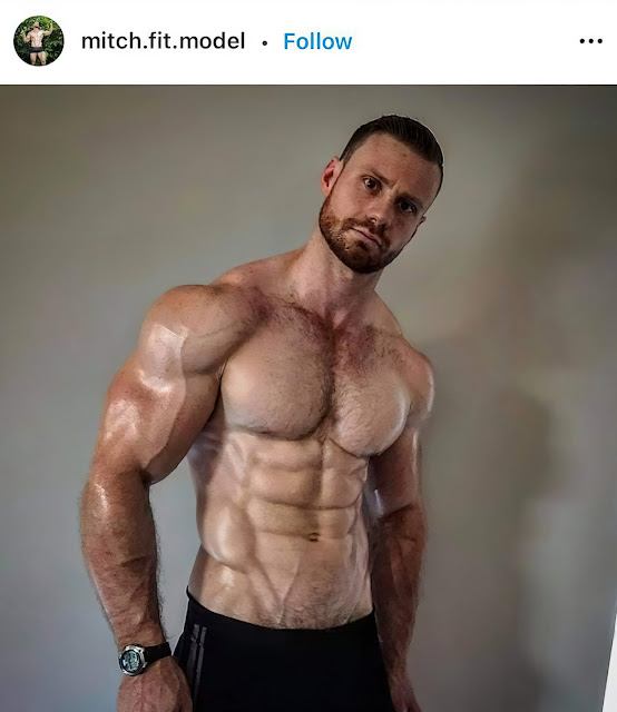 Fitness Muscle Stars - Handsome Hunks
