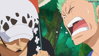 ワンピースアニメ ゾウ編 775話 ロロノア・ゾロ Roronoa Zoro  | ONE PIECE Episode 775