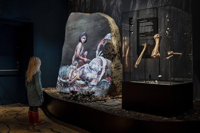 'Neanderthals' at the Natural History Museum of Denmark, Copenhagen