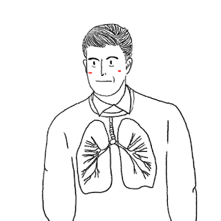 Breathing system online quiz, biology online exams, Ombiology, Ahmed Omaar