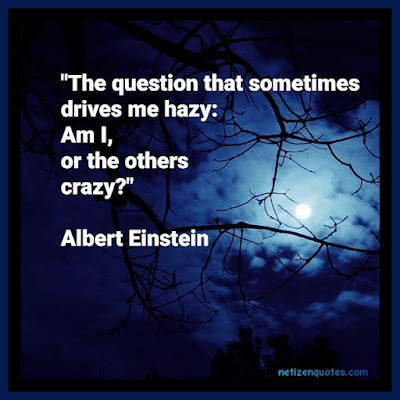 "The question that sometimes drives me hazy: Am I, or the others crazy?" Albert Einstein  Criminal Minds Quotes season 01 episode 09