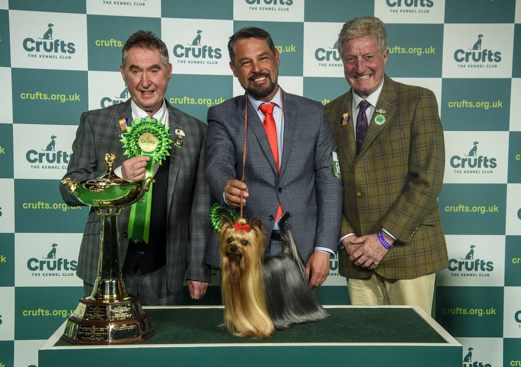 Toy Group Winner Sergio and Conan the Yorkshire Terrier at Crufts 2022 at An Experimenter