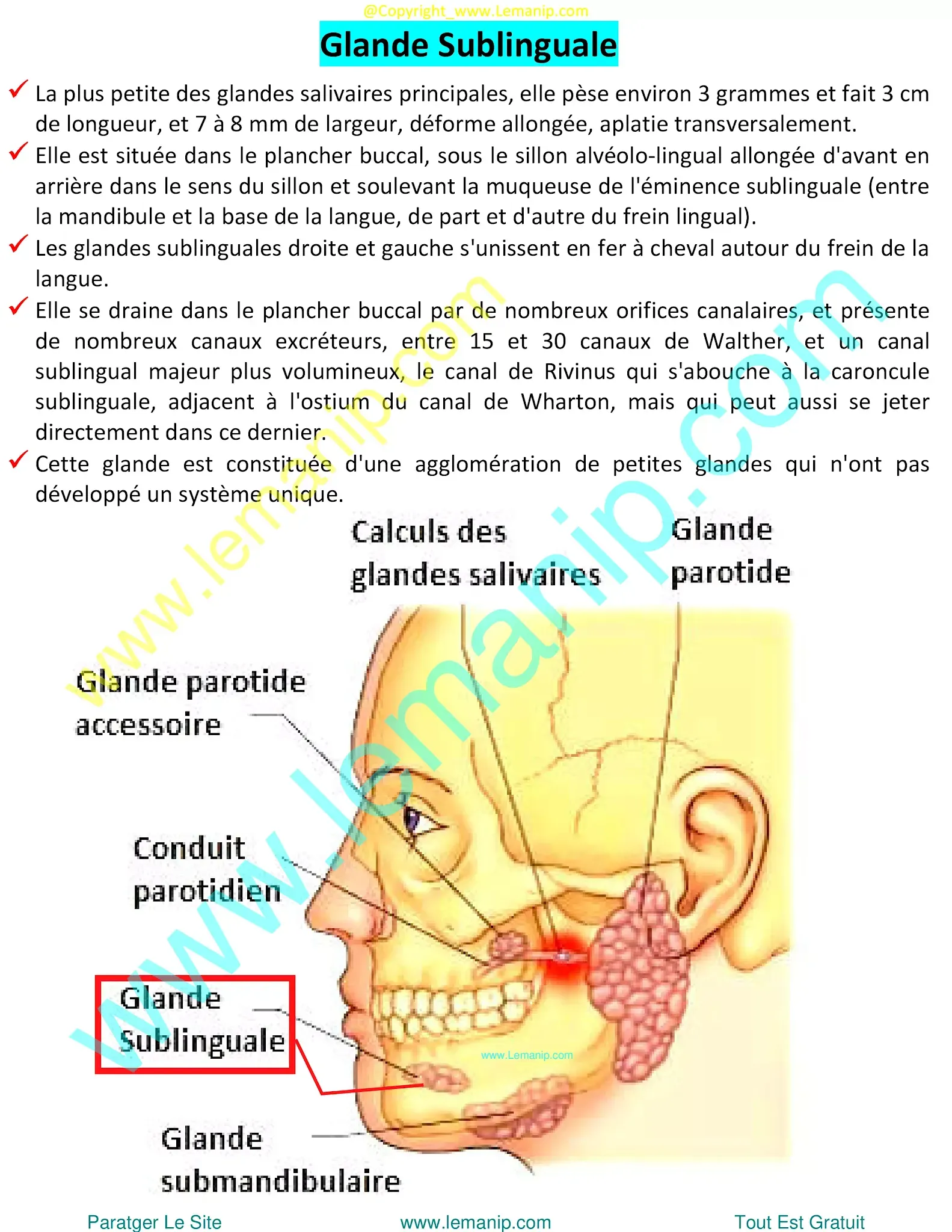 removing salivary gland,sjogren's swollen glands,left parotid,parotid duct,stensen's duct,parotid gland duct,swollen parotid glands both sides,swollen parotid gland on both sides,superficial parotid,inflamed salivary gland